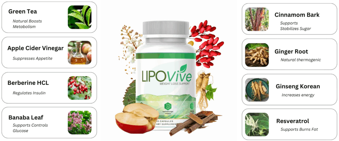 lipovive buy now